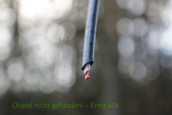 Objekt nicht gefunden! – Error 404 (Grafik: Niko Martin)